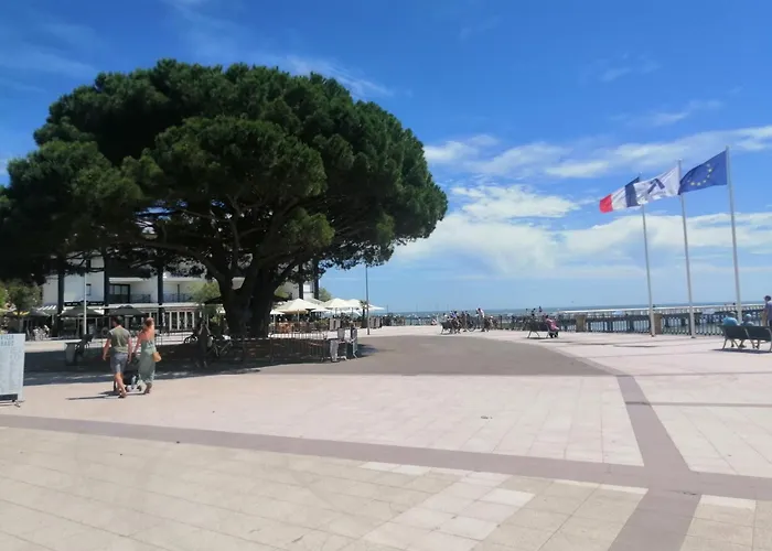 L Escale Du Bassin 800 M De La Plage 3 Pers